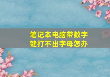 笔记本电脑带数字键打不出字母怎办