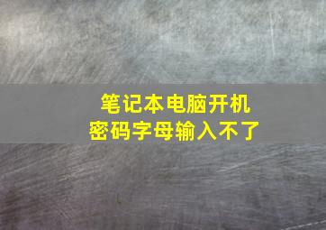 笔记本电脑开机密码字母输入不了