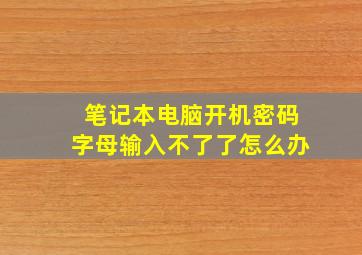 笔记本电脑开机密码字母输入不了了怎么办