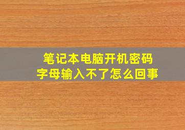 笔记本电脑开机密码字母输入不了怎么回事