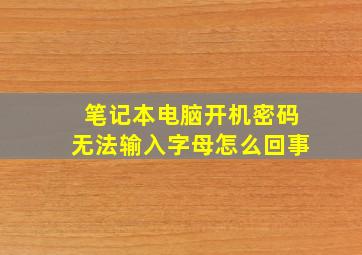 笔记本电脑开机密码无法输入字母怎么回事