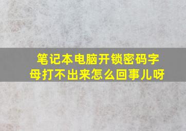 笔记本电脑开锁密码字母打不出来怎么回事儿呀