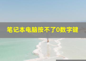 笔记本电脑按不了0数字键