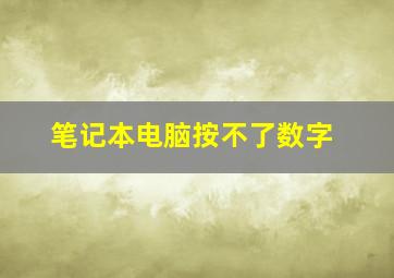 笔记本电脑按不了数字