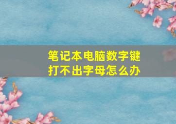 笔记本电脑数字键打不出字母怎么办