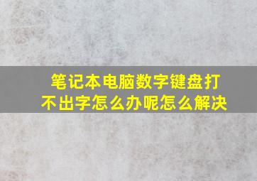 笔记本电脑数字键盘打不出字怎么办呢怎么解决