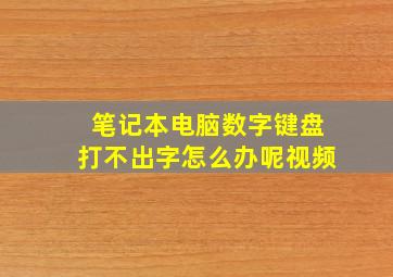 笔记本电脑数字键盘打不出字怎么办呢视频