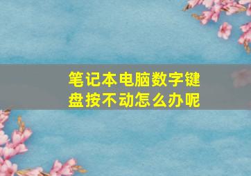 笔记本电脑数字键盘按不动怎么办呢