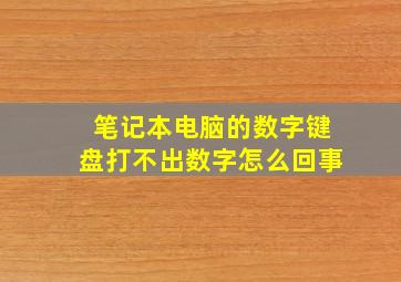 笔记本电脑的数字键盘打不出数字怎么回事