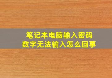 笔记本电脑输入密码数字无法输入怎么回事