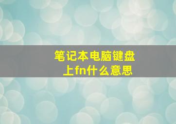 笔记本电脑键盘上fn什么意思