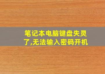 笔记本电脑键盘失灵了,无法输入密码开机