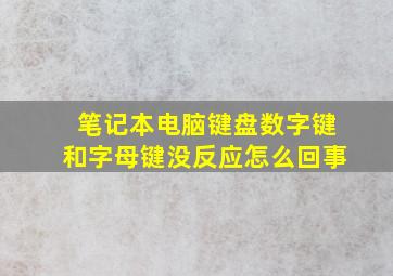 笔记本电脑键盘数字键和字母键没反应怎么回事