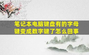 笔记本电脑键盘有的字母键变成数字键了怎么回事