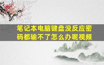 笔记本电脑键盘没反应密码都输不了怎么办呢视频