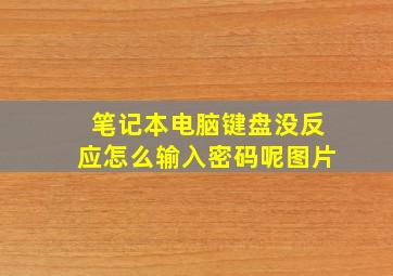 笔记本电脑键盘没反应怎么输入密码呢图片