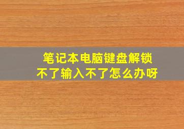 笔记本电脑键盘解锁不了输入不了怎么办呀