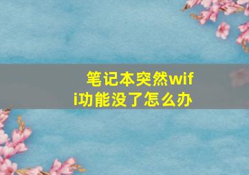 笔记本突然wifi功能没了怎么办