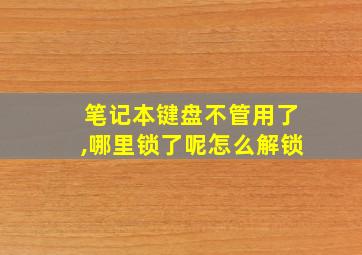 笔记本键盘不管用了,哪里锁了呢怎么解锁