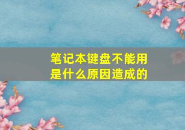 笔记本键盘不能用是什么原因造成的