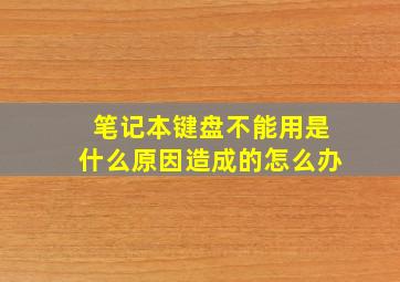 笔记本键盘不能用是什么原因造成的怎么办