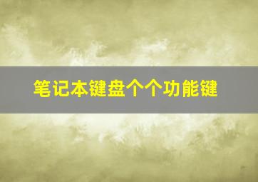 笔记本键盘个个功能键