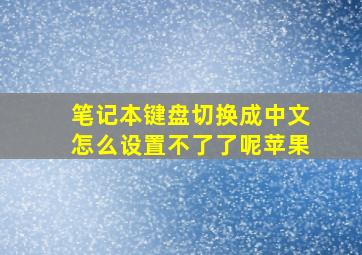 笔记本键盘切换成中文怎么设置不了了呢苹果