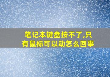 笔记本键盘按不了,只有鼠标可以动怎么回事