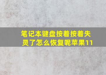 笔记本键盘按着按着失灵了怎么恢复呢苹果11