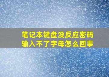 笔记本键盘没反应密码输入不了字母怎么回事