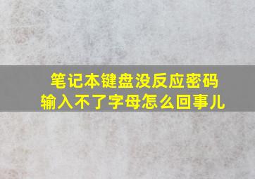 笔记本键盘没反应密码输入不了字母怎么回事儿