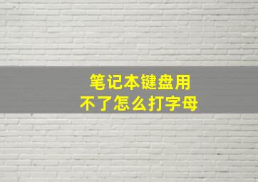 笔记本键盘用不了怎么打字母