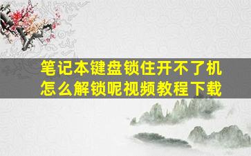 笔记本键盘锁住开不了机怎么解锁呢视频教程下载