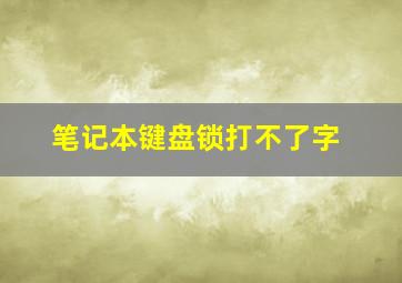 笔记本键盘锁打不了字