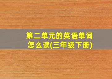 第二单元的英语单词怎么读(三年级下册)