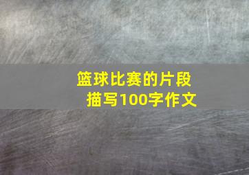 篮球比赛的片段描写100字作文