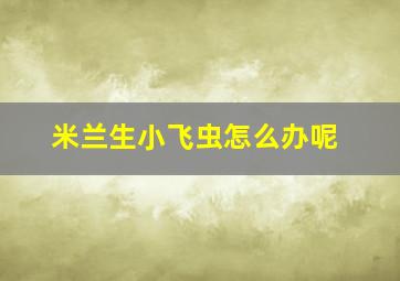 米兰生小飞虫怎么办呢