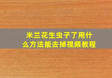 米兰花生虫子了用什么方法能去掉视频教程