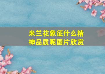 米兰花象征什么精神品质呢图片欣赏