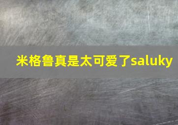 米格鲁真是太可爱了saluky