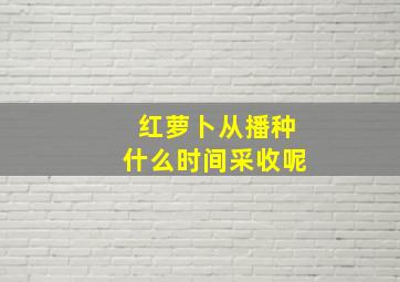 红萝卜从播种什么时间采收呢