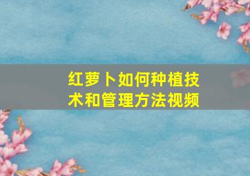 红萝卜如何种植技术和管理方法视频