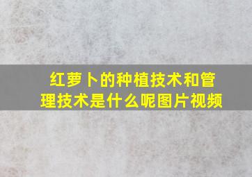 红萝卜的种植技术和管理技术是什么呢图片视频