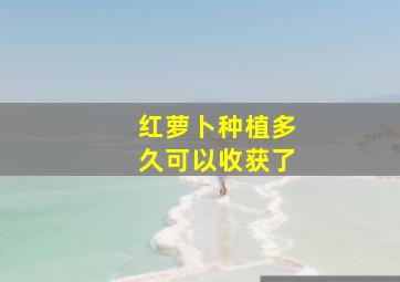 红萝卜种植多久可以收获了