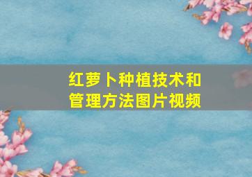 红萝卜种植技术和管理方法图片视频