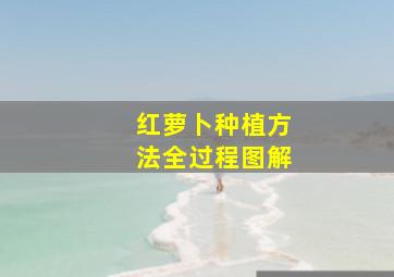 红萝卜种植方法全过程图解