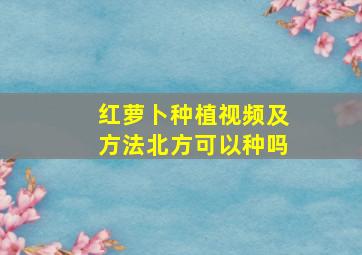 红萝卜种植视频及方法北方可以种吗