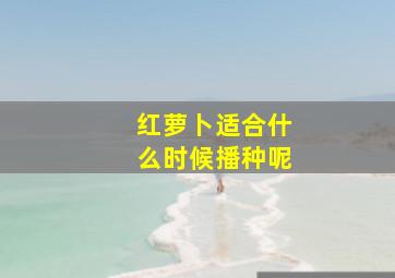 红萝卜适合什么时候播种呢