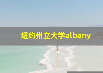 纽约州立大学albany