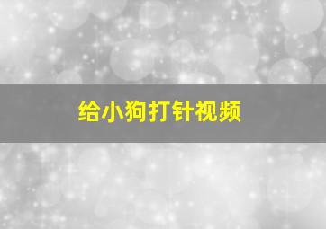 给小狗打针视频